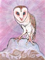 Magical Owl